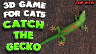 3D game for cats  CATCH THE GECKO top view  4K 60 fps stereo sound [upl. by Ateiluj]