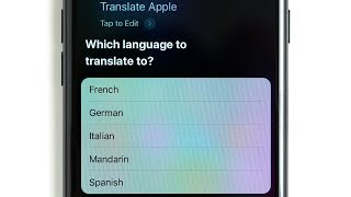 Inside iOS 11 New Siri Translation Feature [upl. by Annay80]