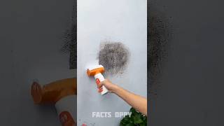 clean the wall fast 🤯三 New Viral Gadgets Smart Appliances Kitchen UtensilsHome Inventions shorts [upl. by Nuhsal]