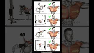 ✅ How to Get a Wider Chest ① DB Incline Fly on Ball② Decline Cable Fly③ DB Fly On Ball④ Cable [upl. by Lap445]