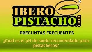 ¿Cuál es el pH de suelo recomendado para pistacheros [upl. by Leksehc]