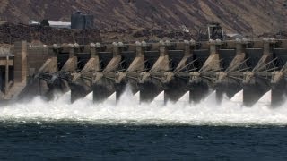 Fish Passage Improvements to Columbia and Snake River Dams [upl. by Euqinmod779]