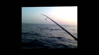 Próximamente nuevo video en el canal pesca 2024 fishing redtunafish atun bacoreta [upl. by Aron]