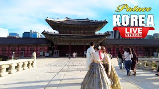 Live Korea 🇰🇷 Changgyeonggung Palace Seoul 🔴 where are you going today [upl. by Neyrb]