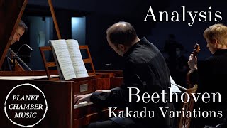 Analysis Beethoven Piano Trio Op 121a «Kakadu Variations» [upl. by Llig291]