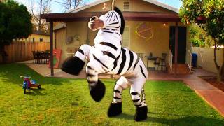 Dope Zebra  Rhett amp Link Official Original Video [upl. by Tibbitts724]