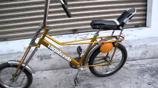 BICICLETA VAGABUNDO ORIGINAL [upl. by Ellah]