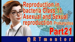 Reproduction in bacteria Class 11 Part 21  Asexual and Sexual reproduction  Prokaryotes [upl. by Animsay]