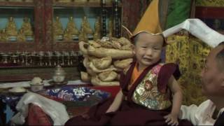 Enthronement Ceremony of Trulku Tenzin Nima [upl. by Aland909]