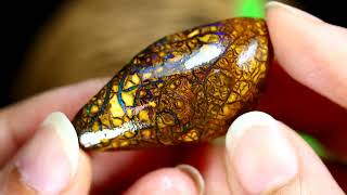 CATAWIKI LOT 84456159  6216 cts  Australian Boulder Opal [upl. by Innattirb]