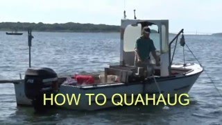 How to Quahaug How to dig for Clams [upl. by Chane]