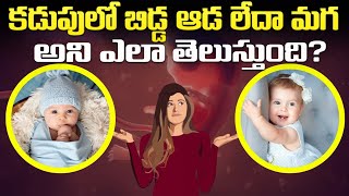 Pregnancy మగపిల్లాడా లేక ఆడపిల్లా అని తెలుసుకునే మార్గాలు  Gender prediction methods [upl. by Bluefarb]