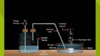 Laboratory Preparation Of Hydrogen [upl. by Ashling367]