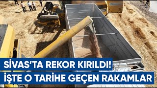 Tritikale Üretiminde Sivasta Rekor Kırıldı İşte O Tarihi Rekor  AGRO TV Haber [upl. by Airdnal17]