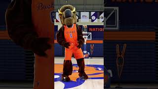 Bison Mania for Bucknell Students  Monday October 28 [upl. by Ingunna914]