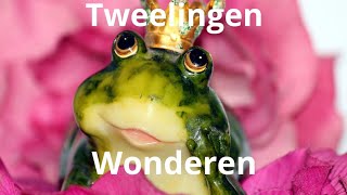 Tweelingen Wonderen oktober 24 lartistic6924gmailcom [upl. by Yeltnerb]