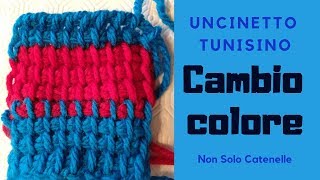 Due semplici modi per cambiare colore con luncinetto tunisino [upl. by Nelram98]