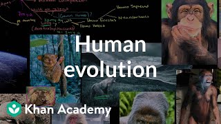 Human evolution overview  Life on earth and in the universe  Cosmology amp Astronomy  Khan Academy [upl. by Gertrude]