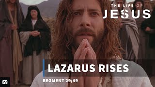 Lazarus Rises  The Life of Jesus  29 [upl. by Eetsirhc934]