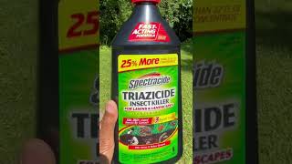 Killing Yard Ants  product review triazicide [upl. by Cain]