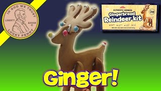 Stockmeyer Authentic German Gingerbread Cookie Reindeer Kit Christmas Kids Decorating [upl. by Alinoel]