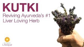 Kutki Reviving Ayurvedas 1 Liver Loving Herb  John Douillards LifeSpa [upl. by Cheyne]