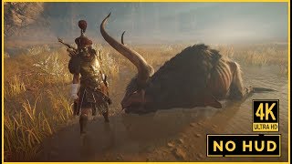 Assassins Creed Odyssey  All Legendary Animals Boss Fights  No HUD amp 4K60fps Gameplay [upl. by Nameerf]