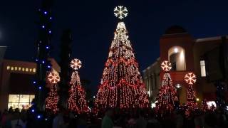 Wiregrass Christmas Tree Show  Jingle Bell Rock  2016 [upl. by Ewald597]