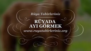 Rüyada Ayı Görmek  Rüya Yorumu Rüya Tabirleri [upl. by Assirrec]