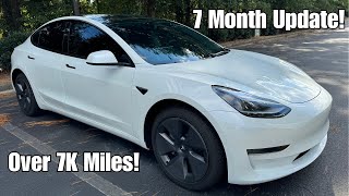 2023 Tesla Model 3 RWD w LFP  7 Month Review Update [upl. by Matthia]