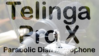 The Telinga Parabolic microphone dish 📡 review amp test that’s neither it’s more of a learning curve [upl. by Brunella79]