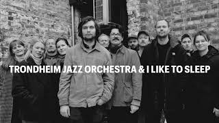 TRONDHEIM JAZZ ORCHESTRA amp I LIKE TO SLEEP teaser [upl. by Quiteris273]