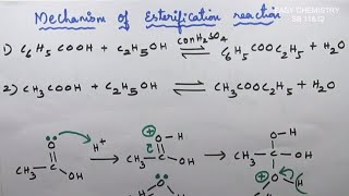 Esterification reactionformation of ethyl acetateCarbonyl compoundUnit 12s and Carboxylic acids [upl. by Teahan373]