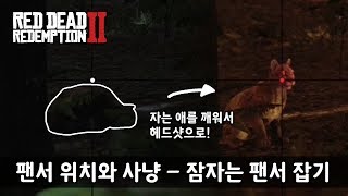 RDR2 팬서 위치와 사냥  밤에 가서 잘 때 잡으면 됩니다 [upl. by Horgan]