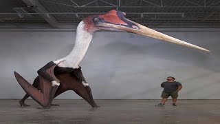 Amazing Facts About the Giant Pterosaur Quetzalcoatlus [upl. by Inalaeham323]