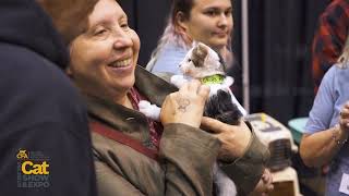 Sponsor Spotlight Cat Fanciers Association International Cat Show amp Expo Overview [upl. by Annaya]