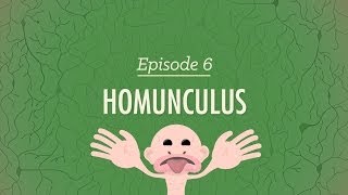 Homunculus Crash Course Psychology 6 [upl. by Antons]