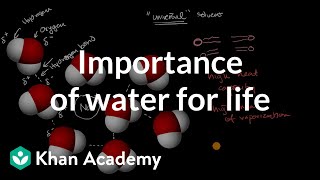 Importance of water for life  Chemistry of life  AP Biology  Khan Academy [upl. by Bej]