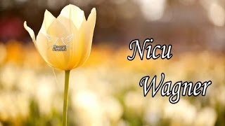 Nicu Wagner  Colaj cu cantari crestine noi [upl. by Eenrahc]