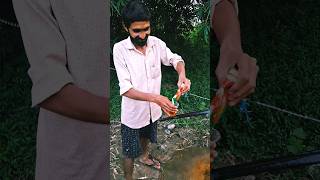 nasa sarab main hota to nachti botal youtubeshorts 1trendingshort funny [upl. by Armyn]