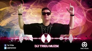 NHẠC NGHE TRÊN XE VOL 1 CỦA DJ TRIỆU MUZIK [upl. by Reinhardt190]