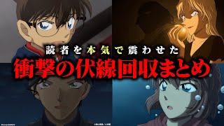 【名探偵コナン】読者を震わせた衝撃の伏線回収まとめ【考察解説】 [upl. by Claudine870]