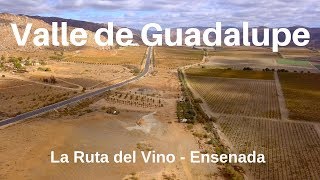 Valle de Guadalupe  Ensenada 4K  Armando la Ruta [upl. by Nairot231]