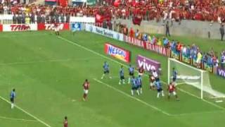 Flamengo 2 x 1 Gremio Campeão Brasileiro 2009 [upl. by Cigam]