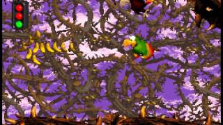 Donkey Kong Country 2 OST Super Nintendo  Track 1829  Bad Bird Rag Screechs Sprint [upl. by Mukerji553]