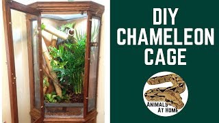 DIY Cabinet in Reptile Vivarium [upl. by Ahsrav]