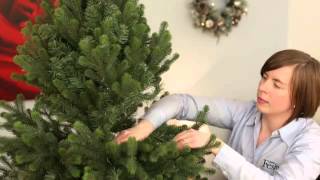 Assembling and shaping hinged Christmas Tree [upl. by Melonie]