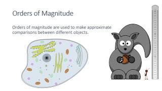 Order of Magnitude  GCSE Biology [upl. by Yanrahc449]