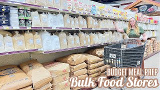 BULK FOOD STORE SHOP BUDGET MEAL PREP  FOOD STORAGE PANTRY TOUR CANNING RECIPES LARGE FAMILY MEALS [upl. by Lansing]