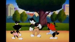 Animaniacs  S01E102 [upl. by Forster562]